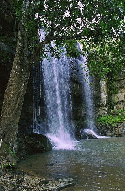 Shimba Hills & Sheldrick Falls